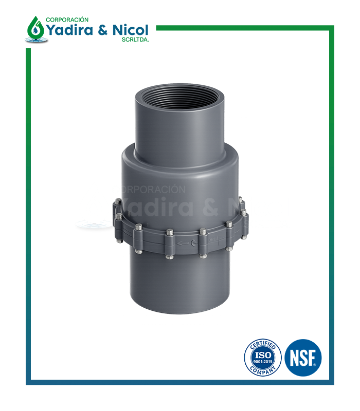 CHECK PALETA CON ROSCA PVC ERA